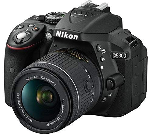 Nikon D5300 with Dual Lens