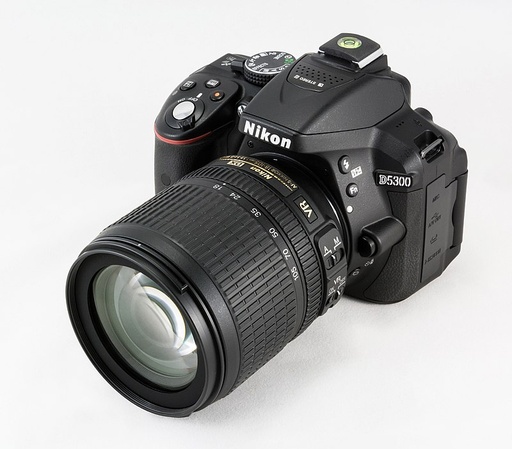 NIKON D5300 with dual lens