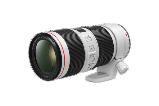Canon EF 70-200mm f/4L USM Telephoto Zoom Lense for Canon SRL Camera